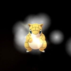 Meet your Posher, Liza